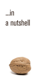 In a nutshell